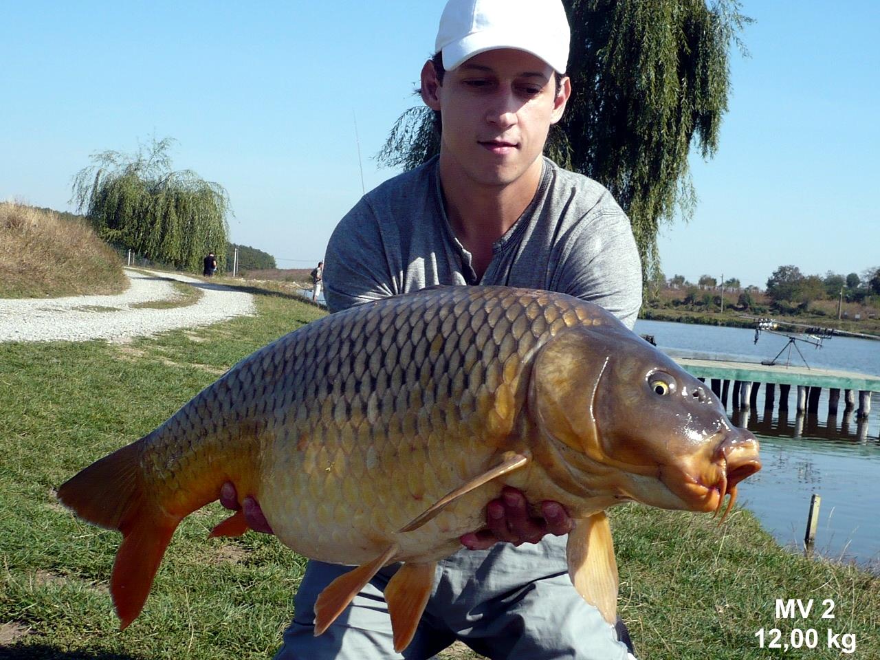 Capturi - p1020878.JPG